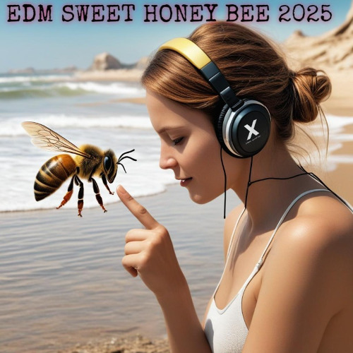 Sweet Honey Bee (Enigmatic Version)