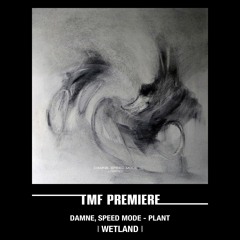 PREMIERE: Damne, Speed Mode - Plant (Original Mix) [Wetland]