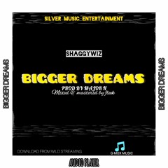 BIGGER DREAMS BY SHAGGYWIZ
