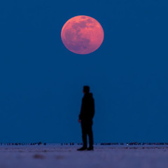 Crimson Moon