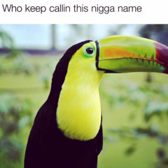 night train lane prod tainiykick