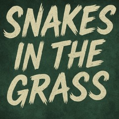 Snakes (In The Grass)