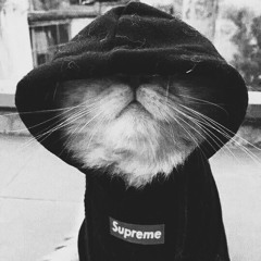 Z9 - บทสรุปสุดท้าย