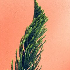 Grooves (Elements Promo Mix)