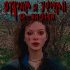 Откуда я узнал о жизни