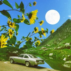 thunderbird.