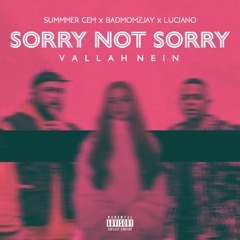 Summer Cem x Badmómzjay x Luciano - Sorry Not Sorry (Vallah Nein | Mashup by. genki)