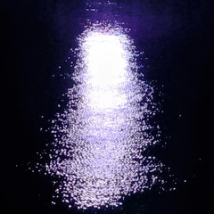 밤 소리