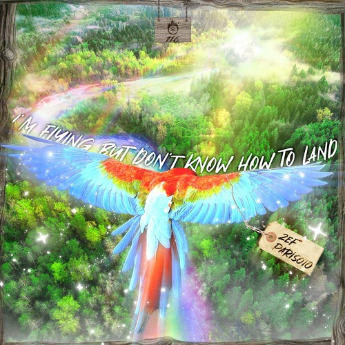 Zef Parisoto - I'm Flying But Don't Know How To Land