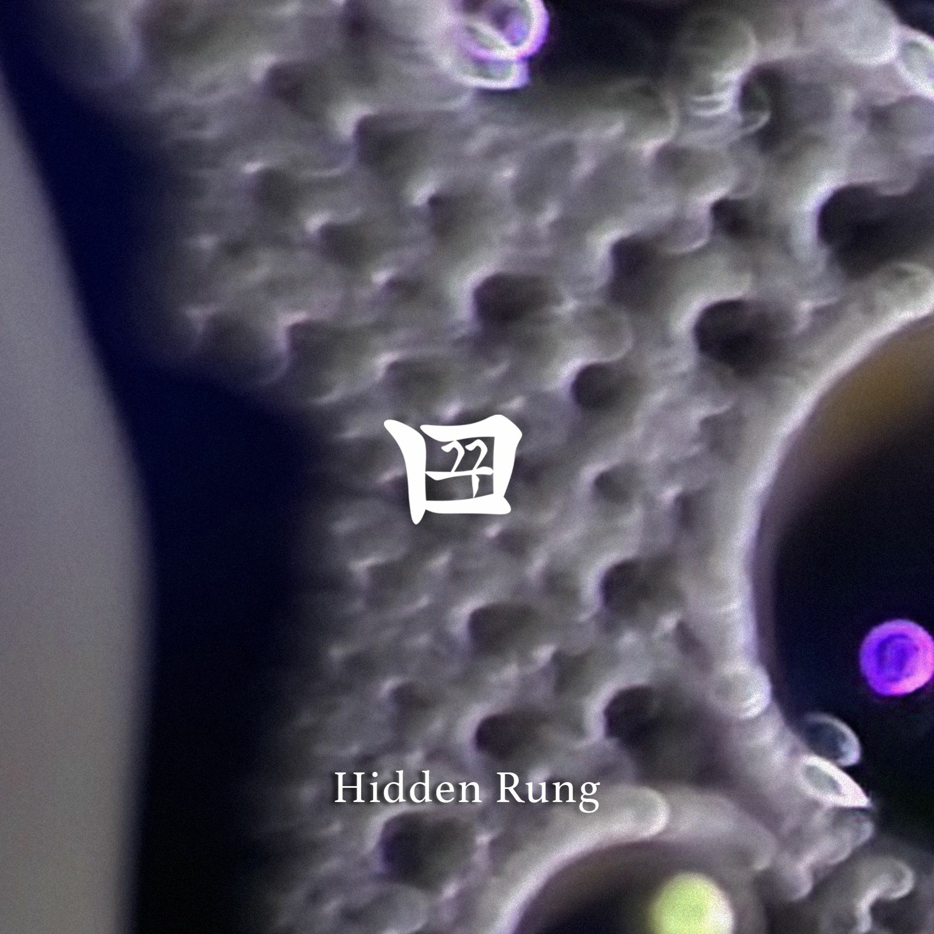 꿈 kkum 39 - Hidden Rung (Live DJ at Phytology) episode artwork
