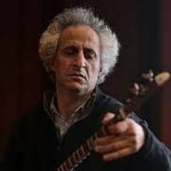 Mohsen Namjoo