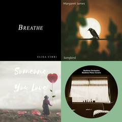 Serene Piano Melodies: Calming Instrumental Covers 2024