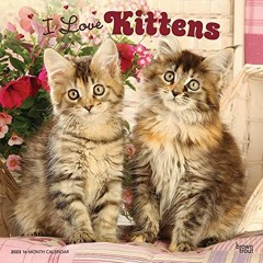 GET KINDLE PDF EBOOK EPUB I Love Kittens | 2023 12 x 24 Inch Monthly Square Wall Calendar | Foil Sta