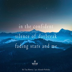 halF confidenT [naviarhaiku445]