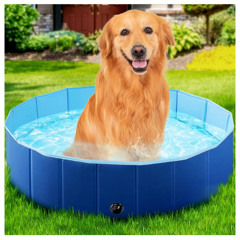 kiddie pool