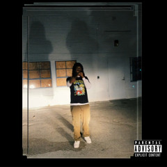 LIGHTS CAMERA ACTION