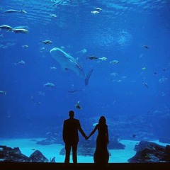 Owl City - The Saltwater Room [Official Instrumental_ Karaoke] 2008 version