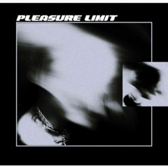 Pleasure Limit - Image Of Decay