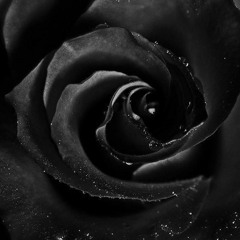 Neuron - Black Roses