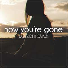 Now You're Gone (Radio Edit)