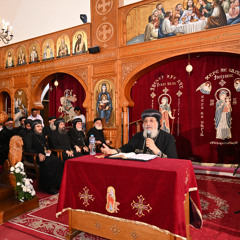 حكايات الشجرة المغروسة" (٩).. "لقاءات يومية وسنوية مع السيدة العذراء عظة الأربعاء لقداسة البابا تواضروس الثاني 20-08-2025