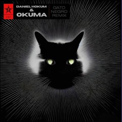 Klik & Frik - Gato Negro (Daniel Hokum & okuma Remix)