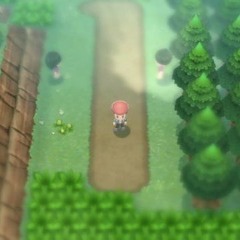 ETERNA FOREST