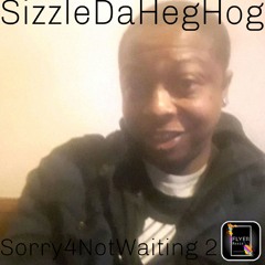 SizzleDaHegHog-TakinOff