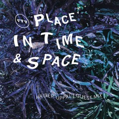 Place in Time & Space Detroit