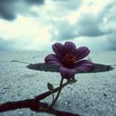 Unseen Storms