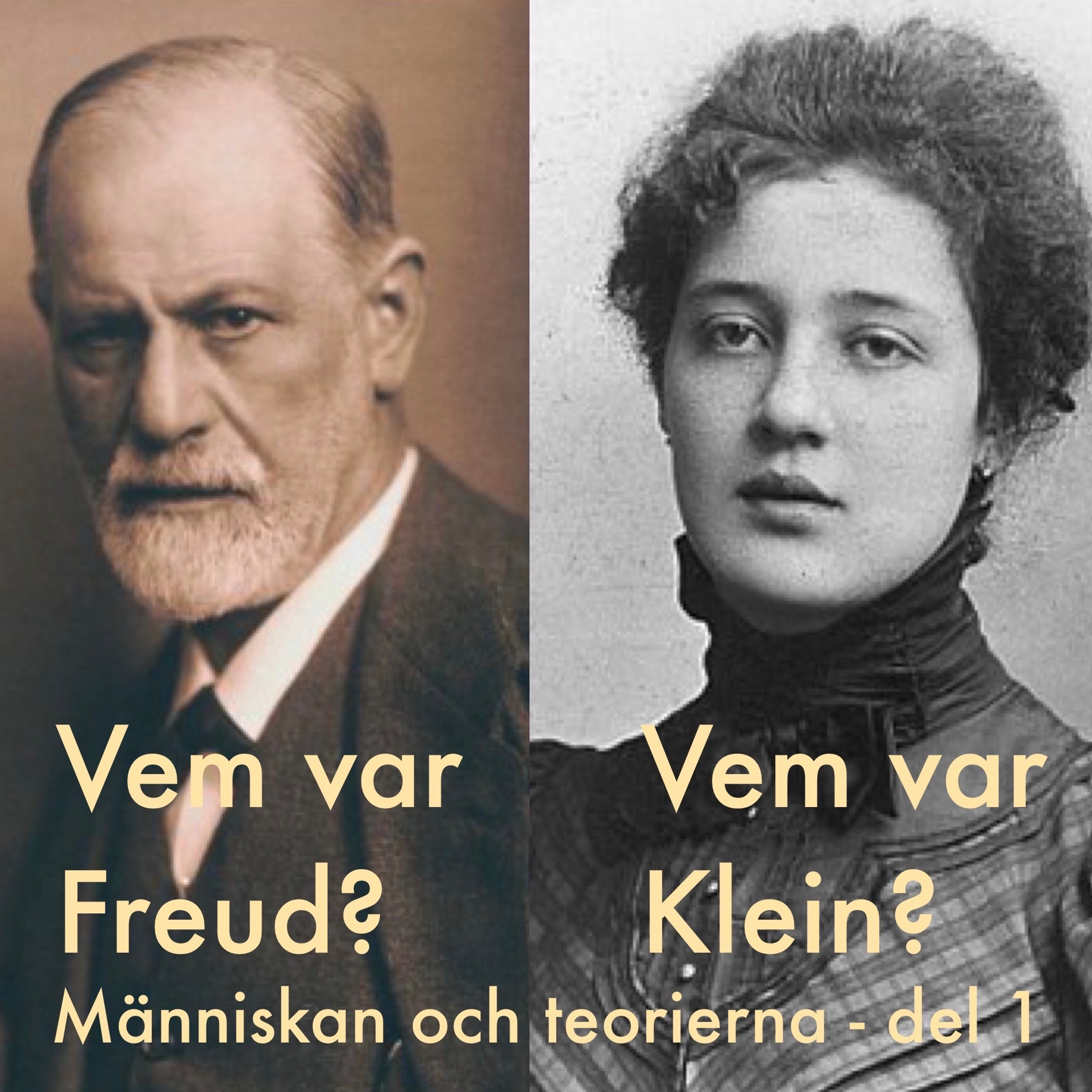 Psykoterapeuter pratar på