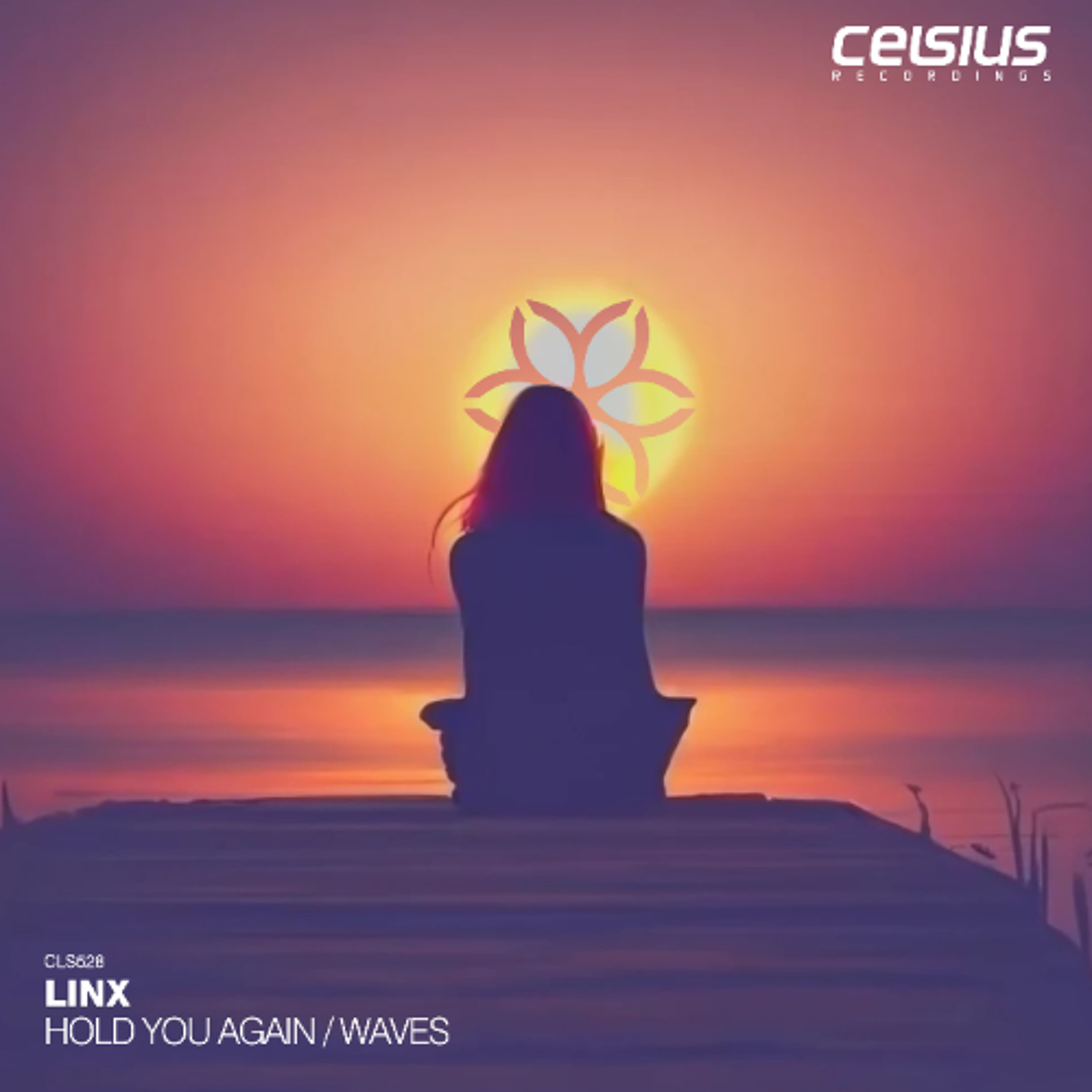 Linx  - Waves episode artwork