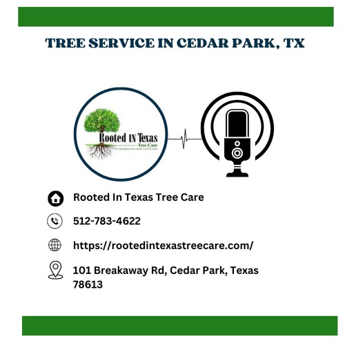 how-to-tell-if-a-tree-needs-to-be-removed-in-cedar-park-tx