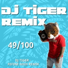 DJTIGER - MIU OFA FT MOLOTRY, MELENIKUA,DJDARREN - FEFINE MIOI REMIX
