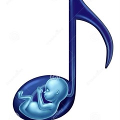 nosmatamos (+@Icylucki)