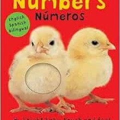 Read PDF EBOOK EPUB KINDLE Bright Baby Touch & Feel: Bilingual Numbers / Números: English-Spanish B