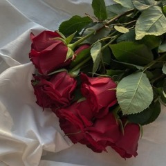 Liz Vamarasi - Rawai (Zoukyton Remix) | AVISH679