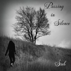 Passing In Silence