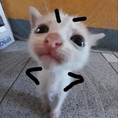 silly shitpost audios because I made a new account