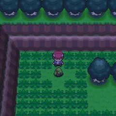 pokemon league - pokemon dppt