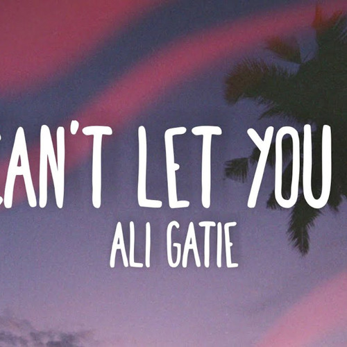 Ali Gatie - I cant let you go