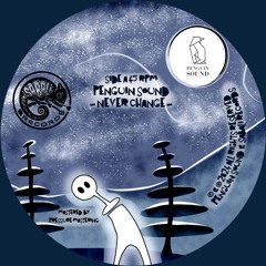 Penguin Sound - Never Change