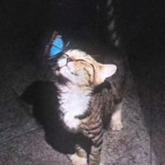 Mad I gotta hit the road x1.1 ⁽ᵈᵉᵐᵒ⁾