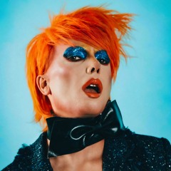 Wig In A Box (from 'Hedwig and The Angy Inch')