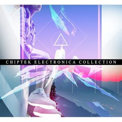 she - Chiptek 004