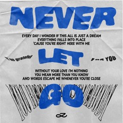 정국 (Jung Kook) - Never Let Go (Minhae Remix)