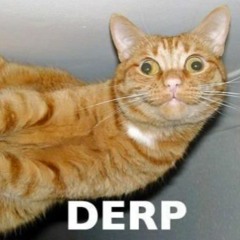 Derp In Progress