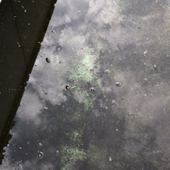 루시드드림