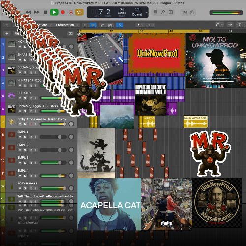 Projet 1478. UnkNowProd M.R. FEAT. JOEY BADA$$ 75 BPM MAST. L.P.