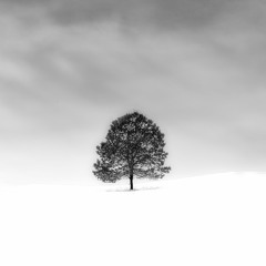 Tree (Beat Prod by, Joey Moehamadsaleh)